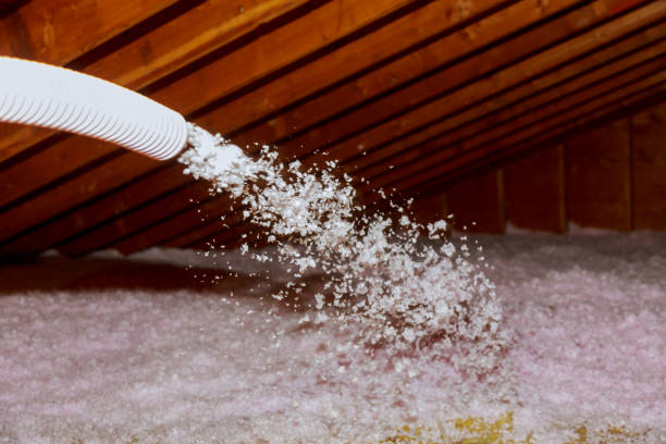 Best Insulation Installation Services in Sharon, WI